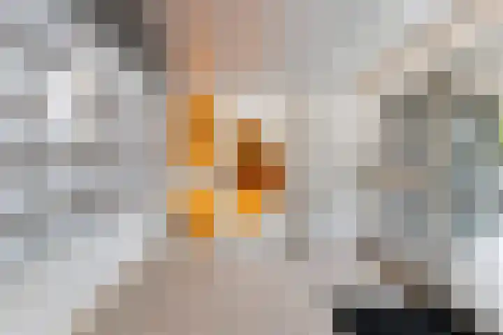 Pontonniersweg 75 Papendrecht thumbnail 10