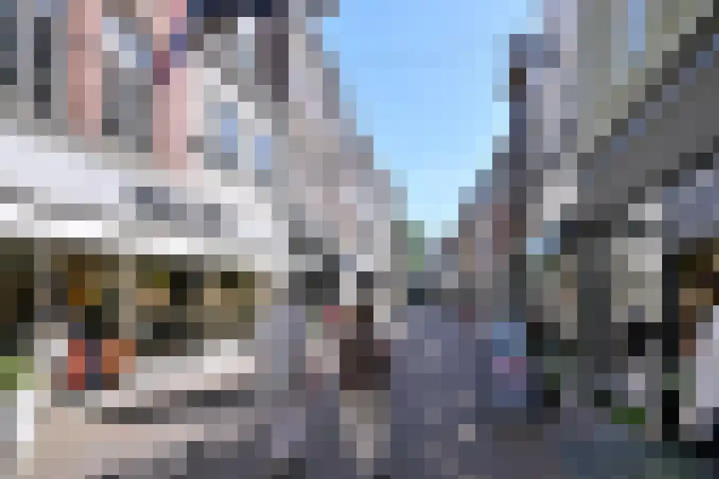 Pontsteeg 35 Deventer thumbnail 36