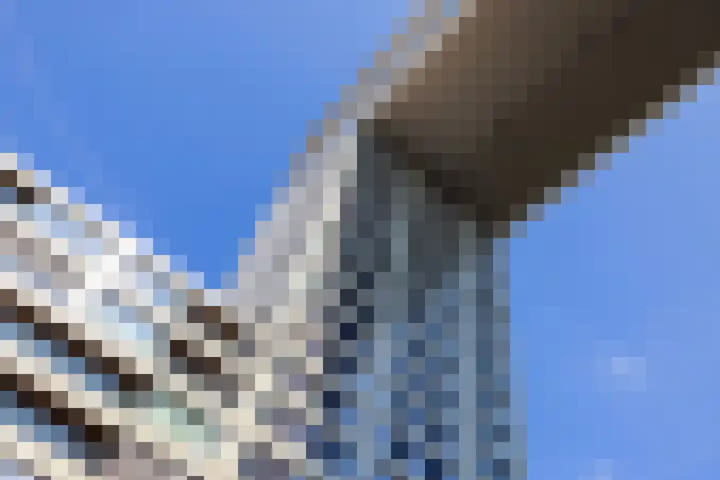 Pontsteiger 105 Amsterdam thumbnail 43