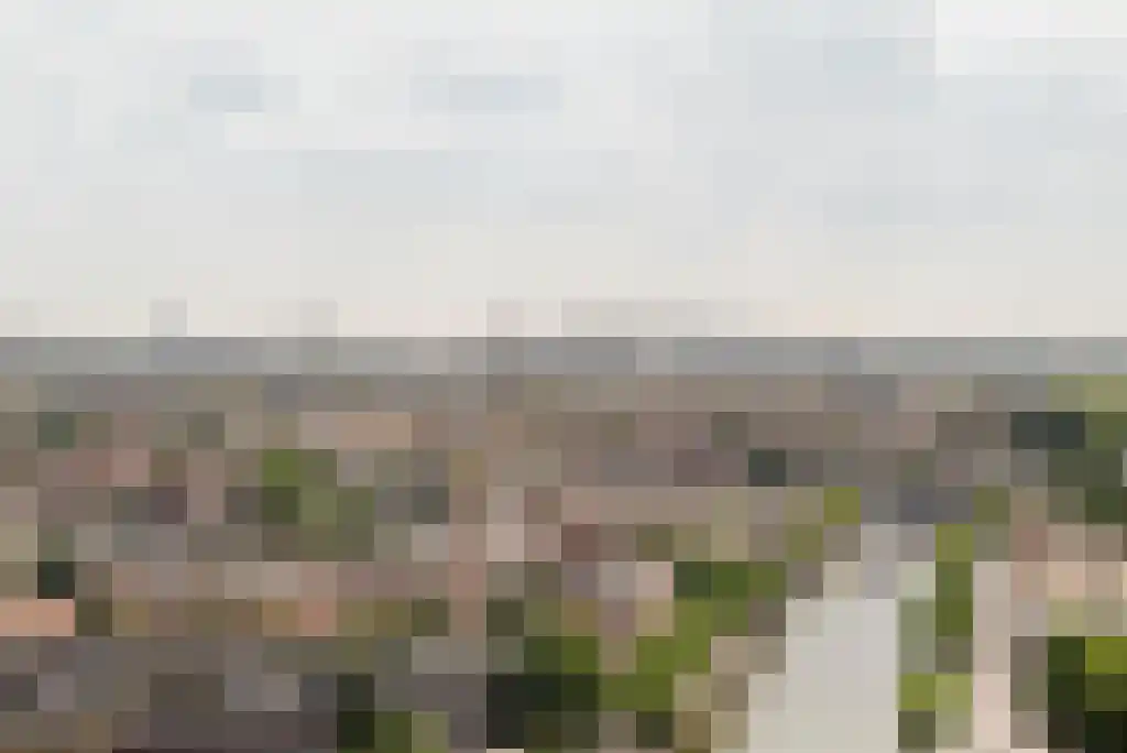 Pontsteiger 114 Amsterdam thumbnail 6