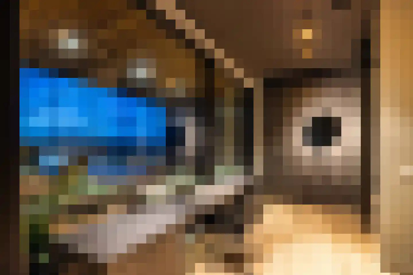 Pontsteiger 133 Amsterdam thumbnail 33