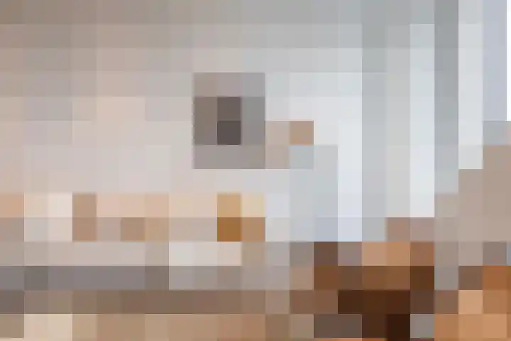 Pontsteiger 141 Amsterdam thumbnail 12
