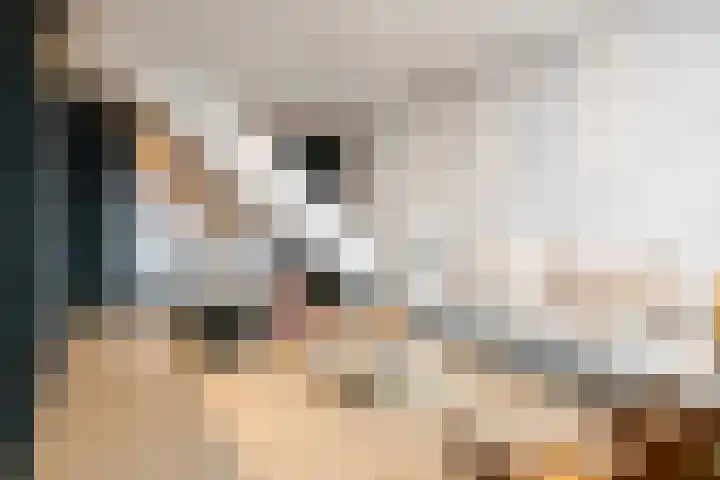 Pontsteiger 141 Amsterdam thumbnail 13