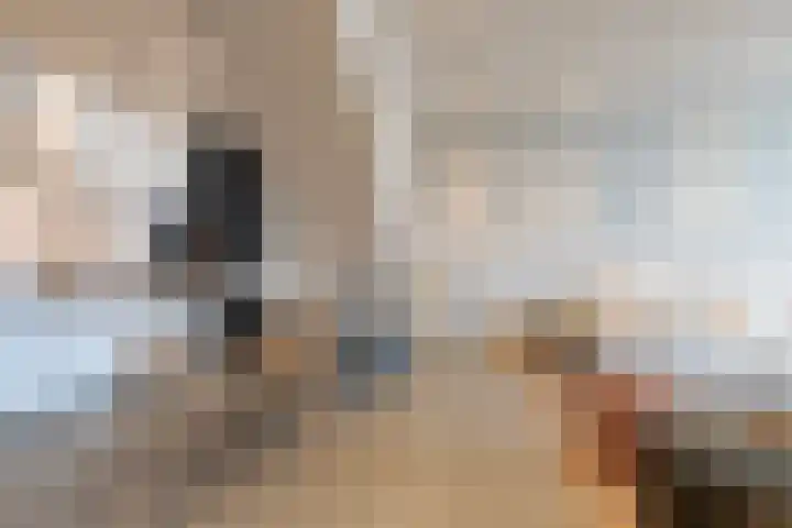 Pontsteiger 141 Amsterdam thumbnail 15