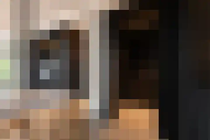 Pontsteiger 141 Amsterdam thumbnail 18
