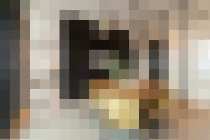 Pontsteiger 141 Amsterdam thumbnail 21