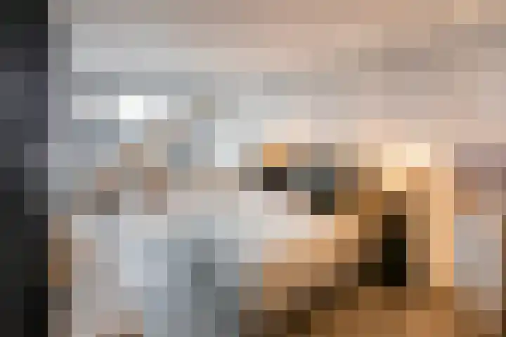 Pontsteiger 141 Amsterdam thumbnail 24