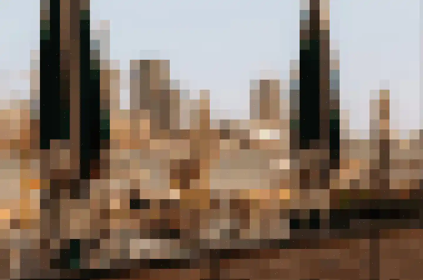 Pontsteiger 150 Amsterdam thumbnail 42