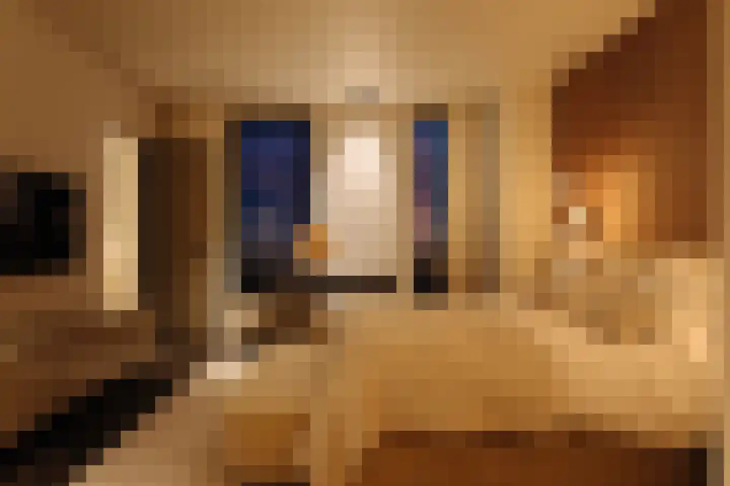 Pontsteiger 158 Amsterdam thumbnail 39