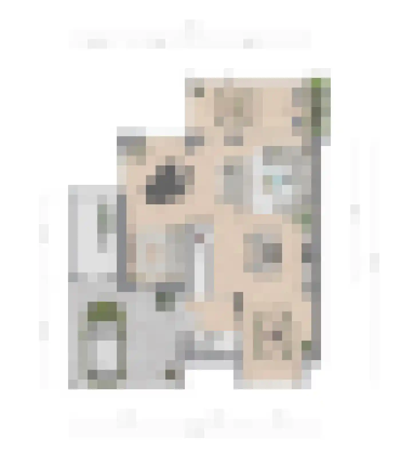 Pontweg 1 D Aalsmeer thumbnail 4