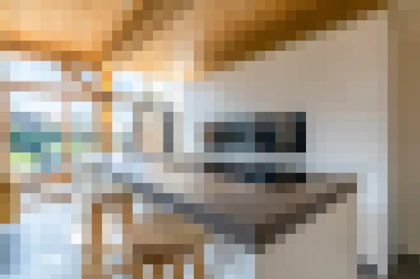 Pontweg 181 De Koog thumbnail 10
