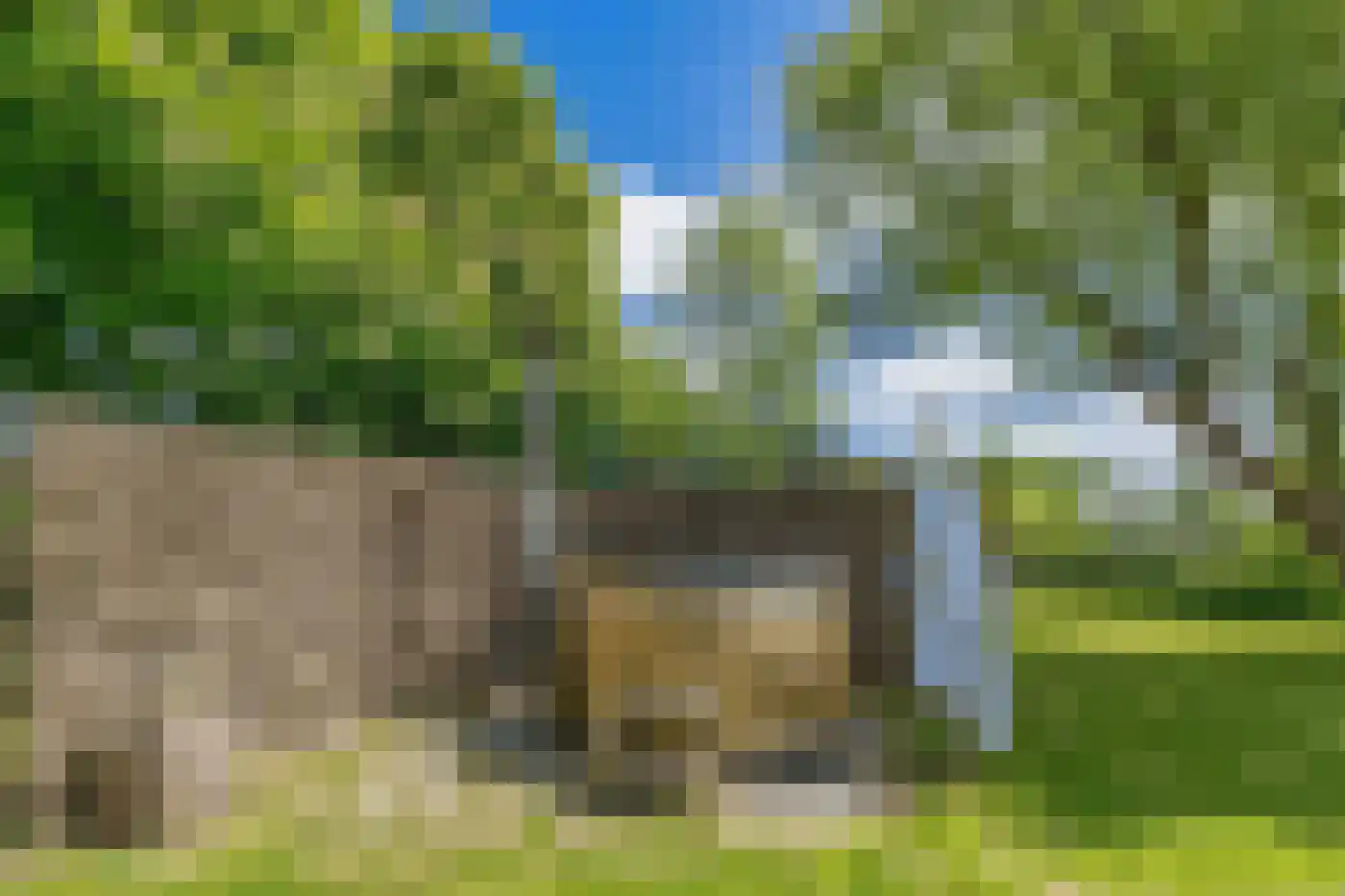 Pontweg 181 De Koog thumbnail 26