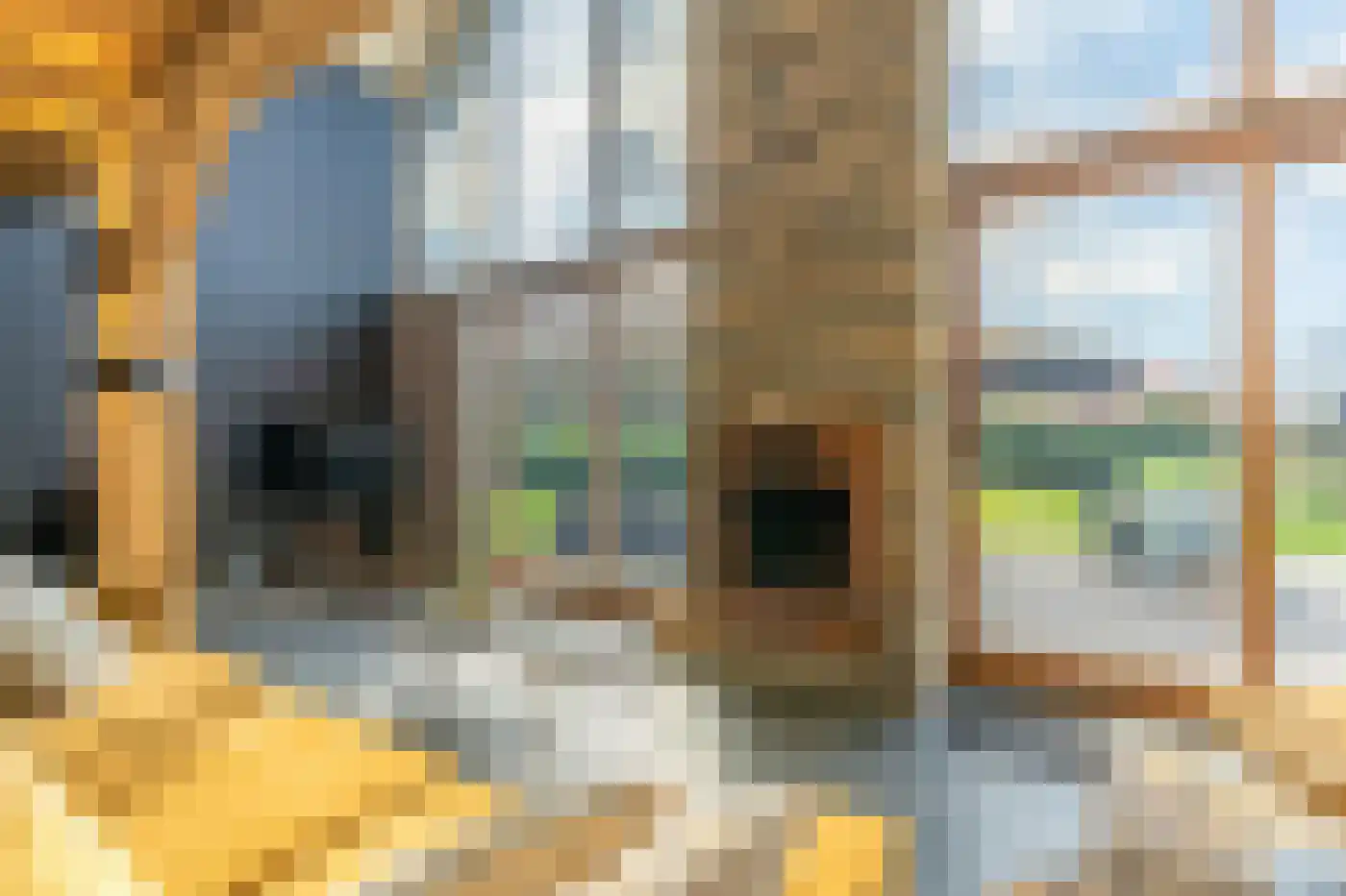 Pontweg 181 De Koog thumbnail 4