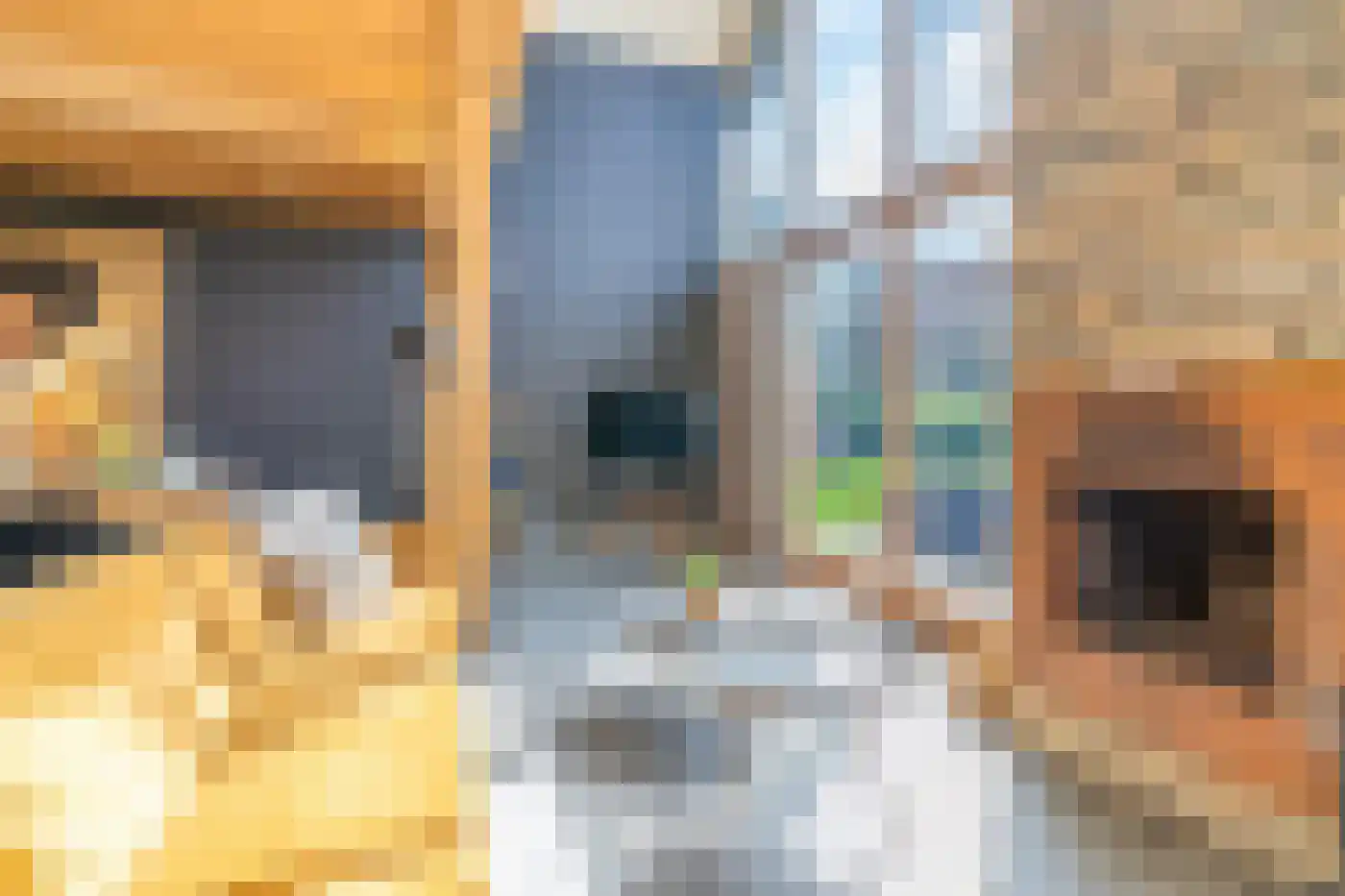 Pontweg 181 De Koog thumbnail 6