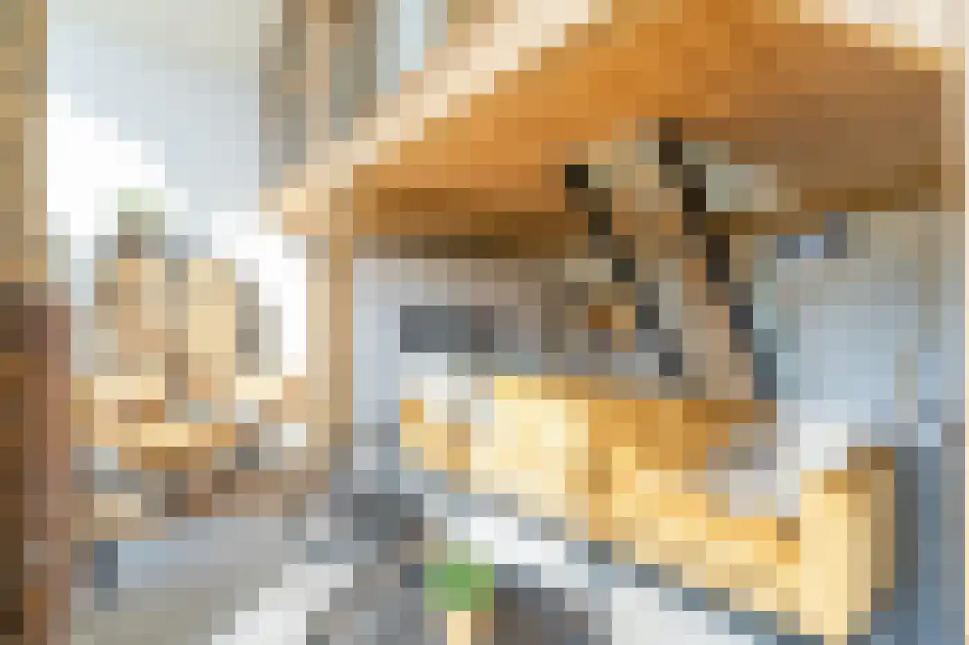 Pontweg 181 De Koog thumbnail 7