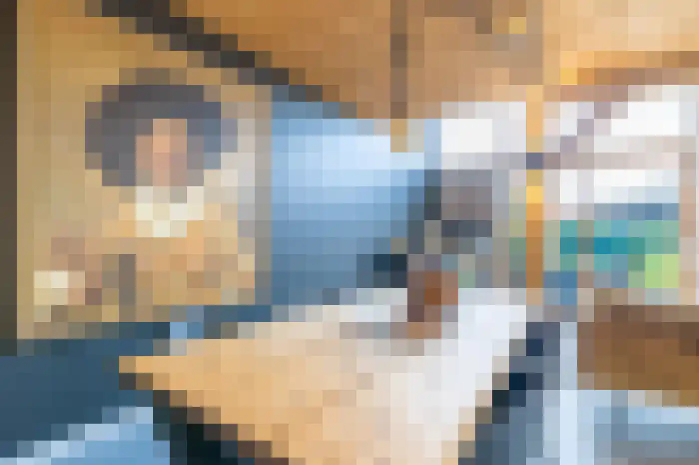 Pontweg 181 De Koog thumbnail 9