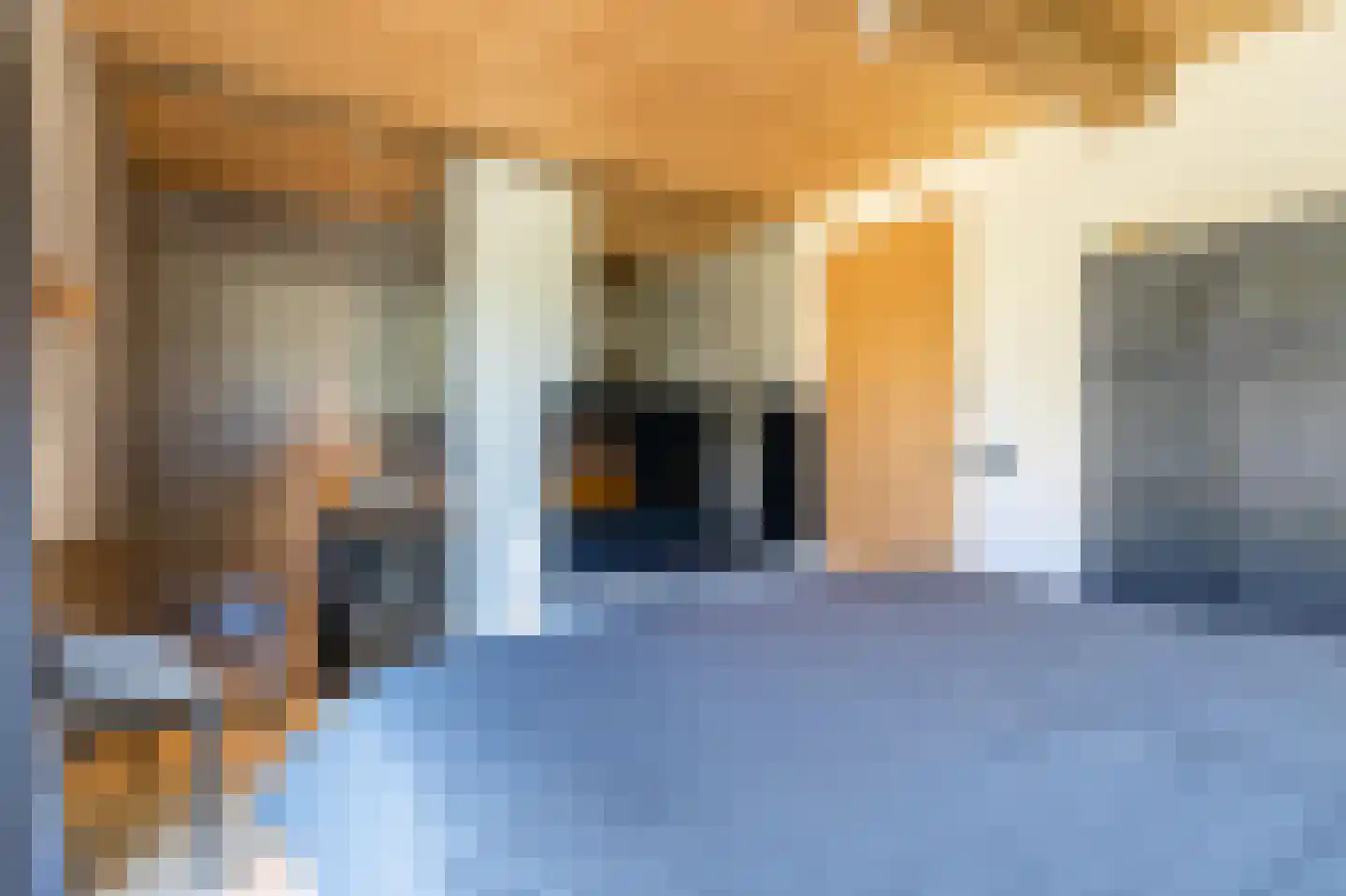 Pontweg 183 De Koog thumbnail 10