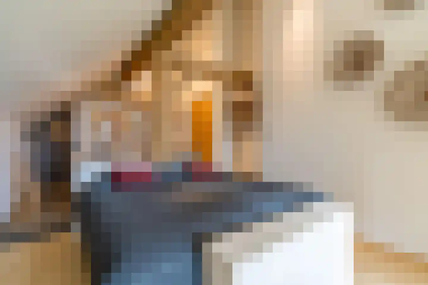 Pontweg 183 De Koog thumbnail 13