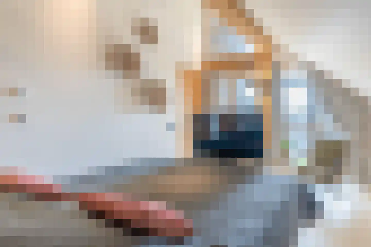 Pontweg 183 De Koog thumbnail 14