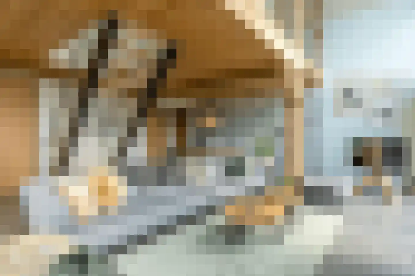 Pontweg 183 De Koog thumbnail 4