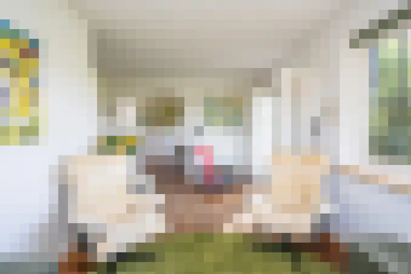 Pontweg 197 De Koog thumbnail 11
