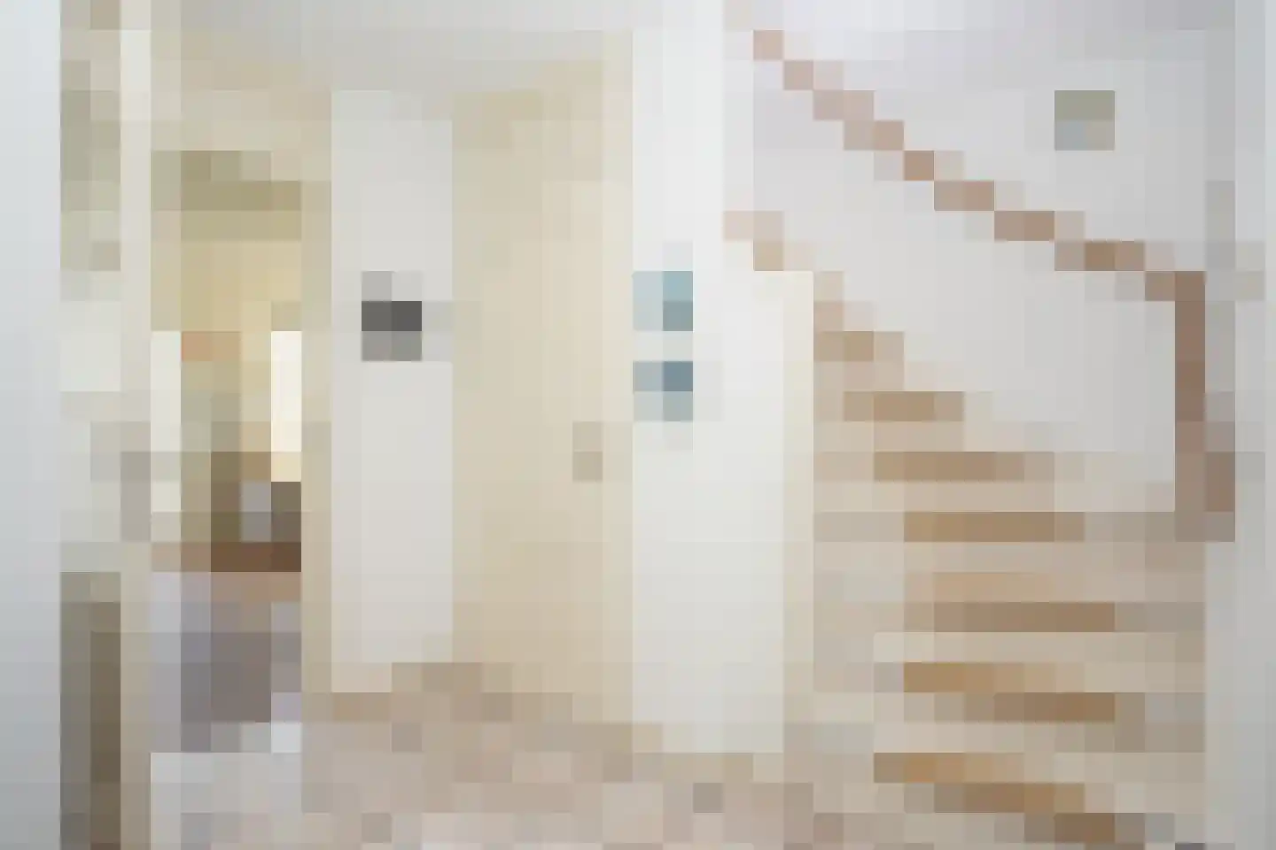 Pontweg 197 De Koog thumbnail 29
