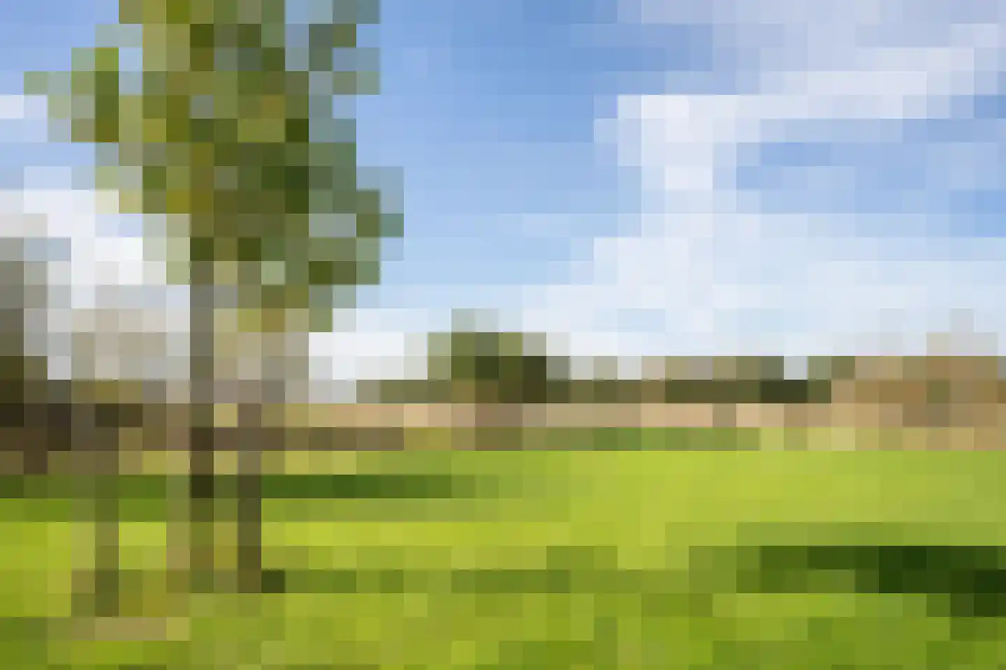 Pontweg 197 De Koog thumbnail 64