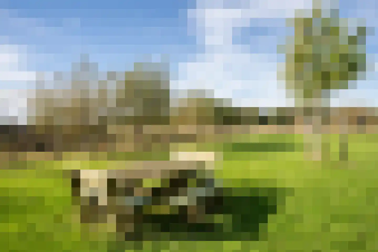 Pontweg 197 De Koog thumbnail 65