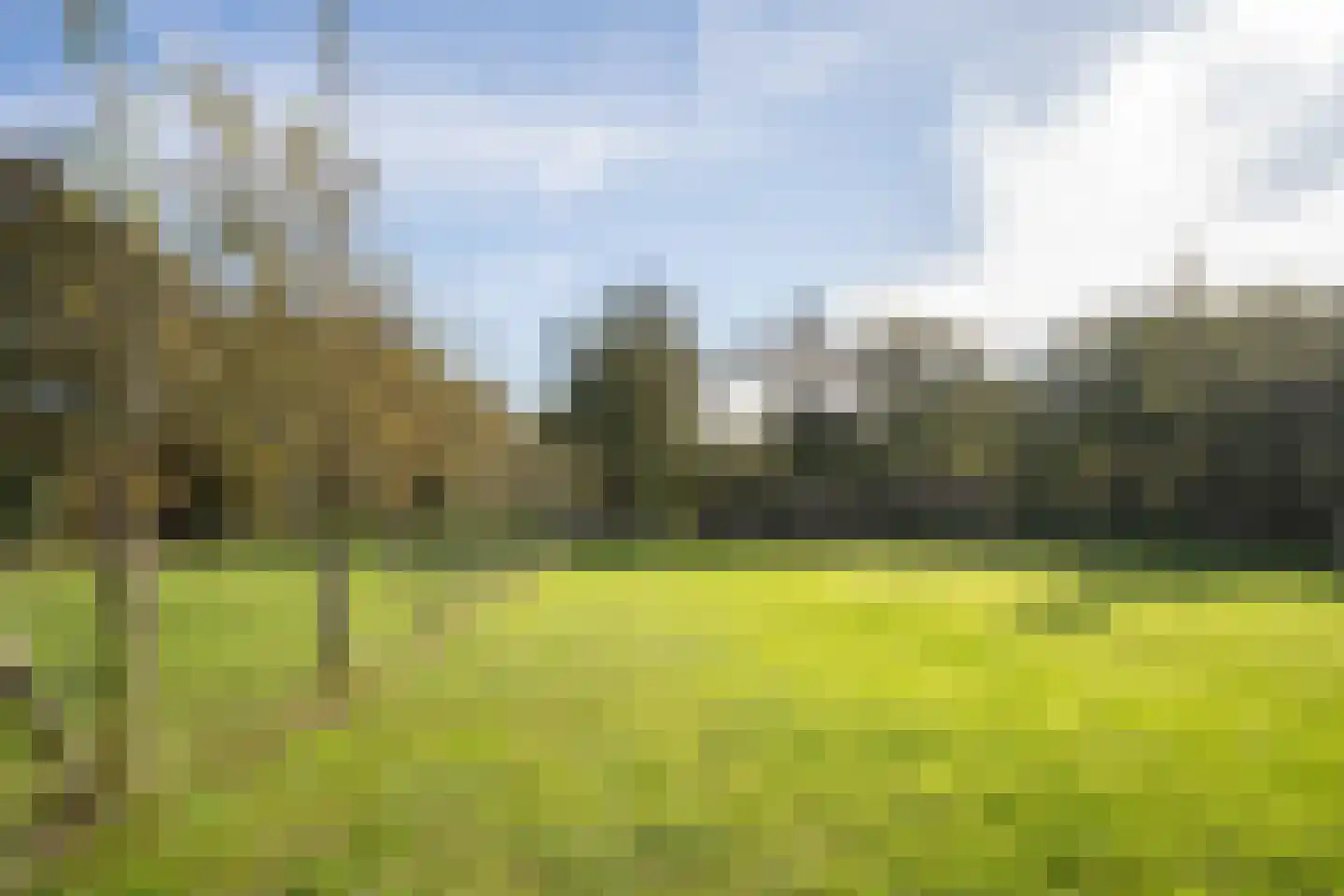 Pontweg 197 De Koog thumbnail 69