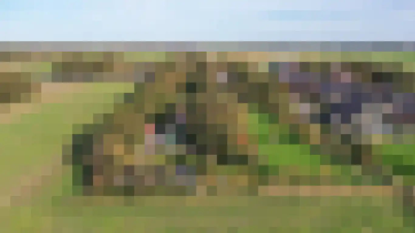 Pontweg 197 De Koog thumbnail 72