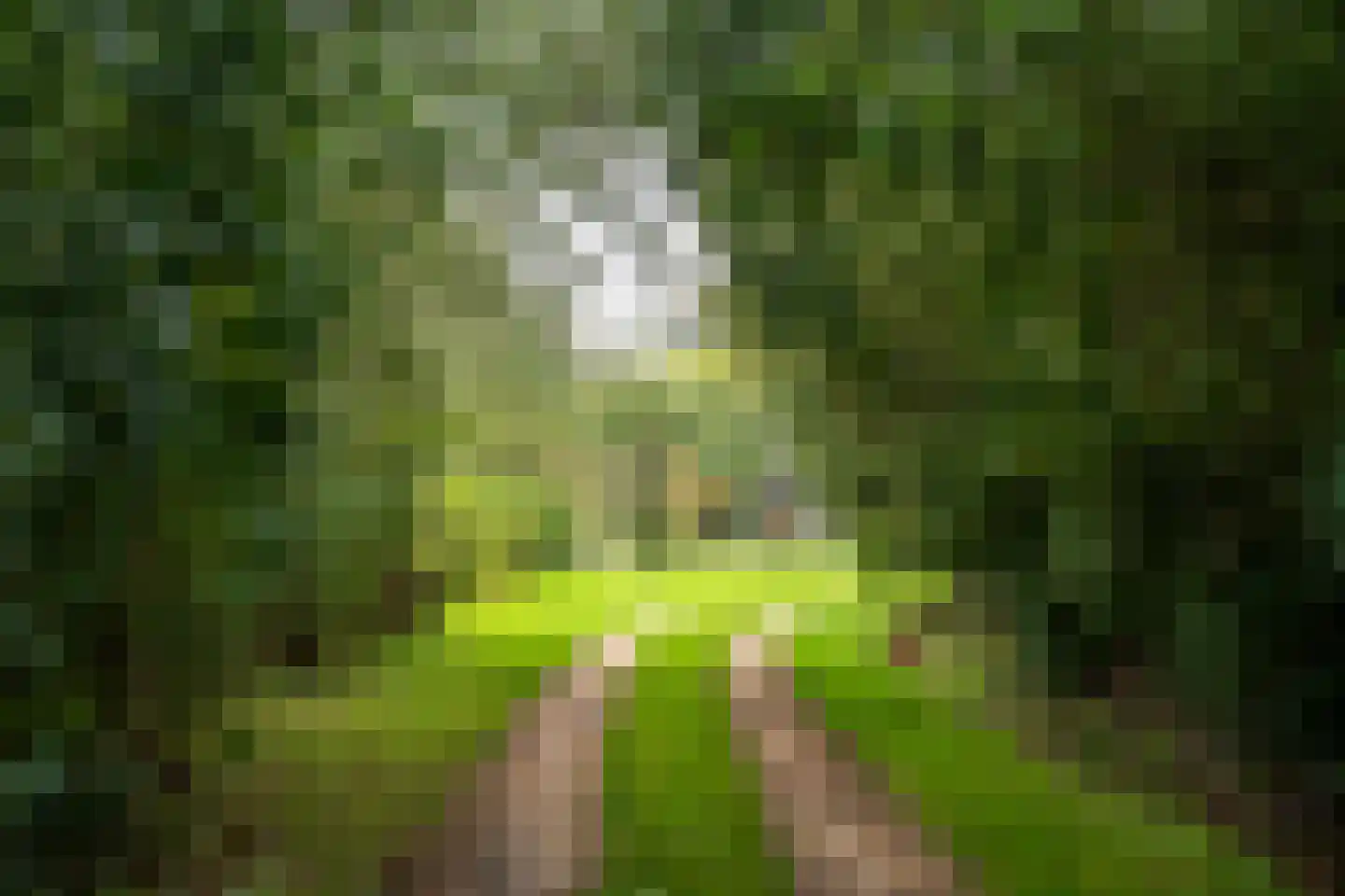 Pontweg 197 De Koog thumbnail 73