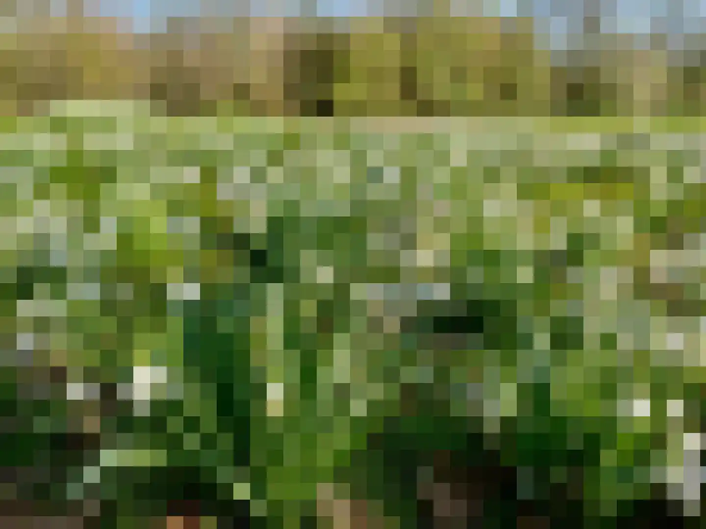 Pontweg 197 De Koog thumbnail 77