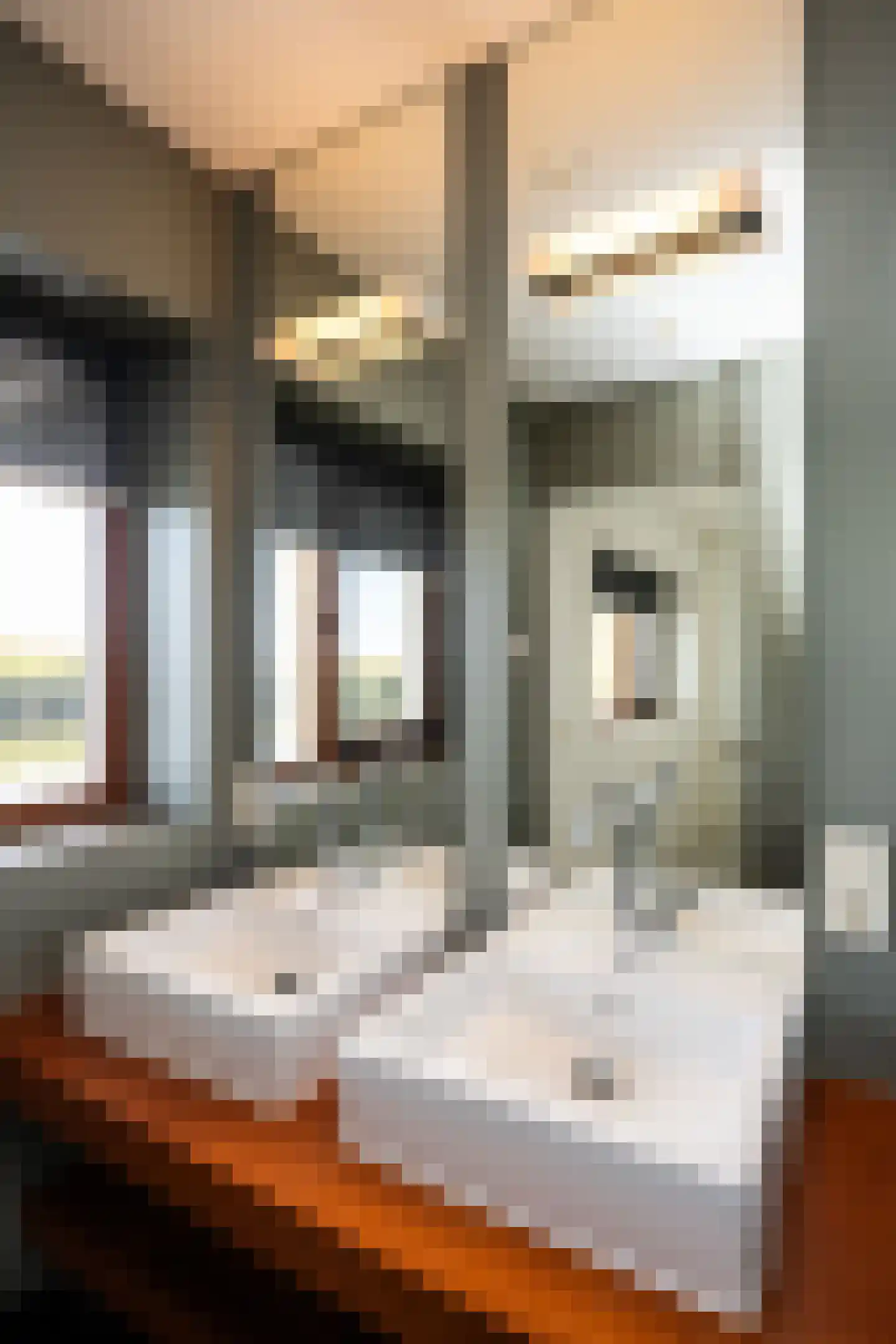 Pontweg 42 Den Hoorn thumbnail 38