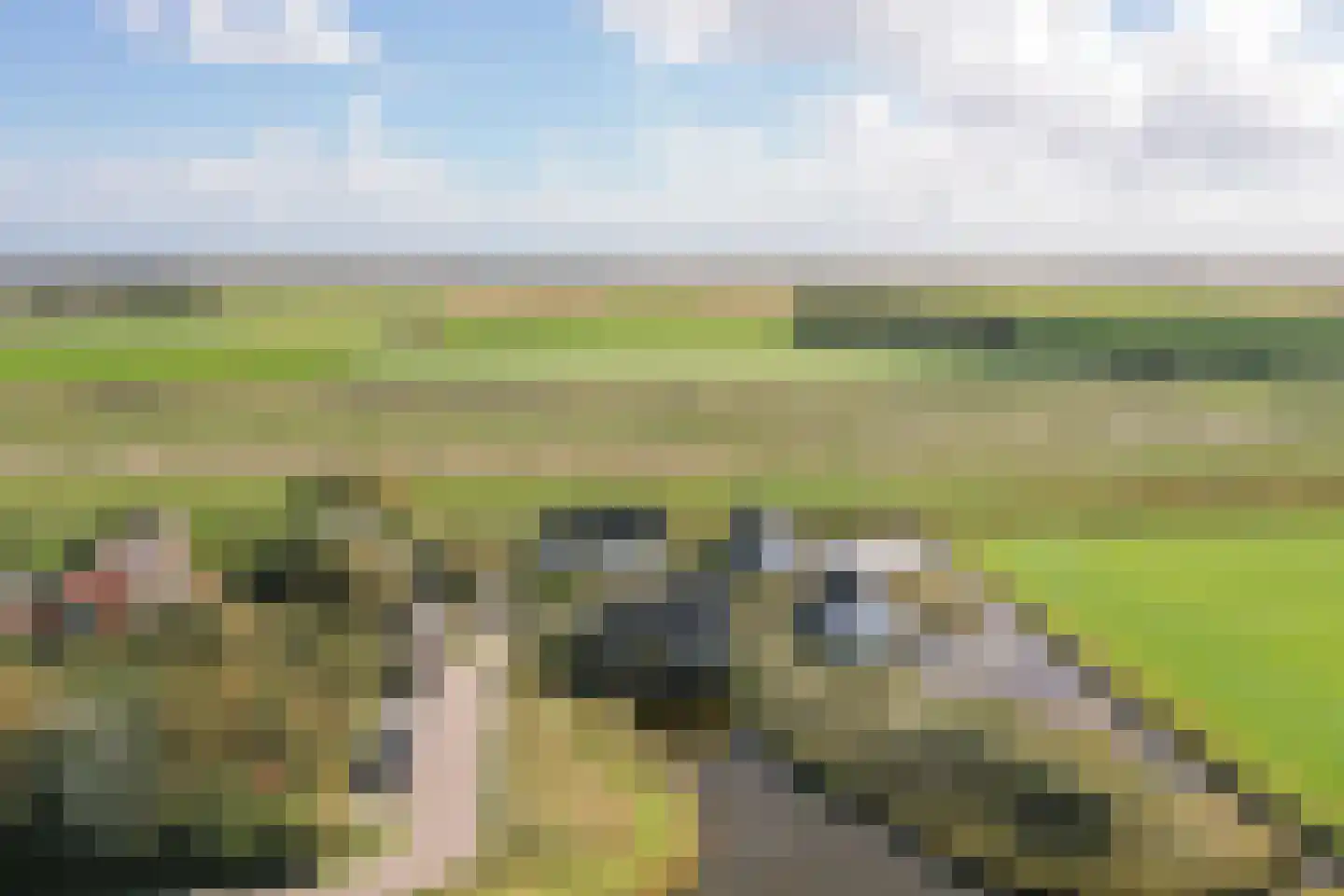 Pontweg 42 Den Hoorn thumbnail 77