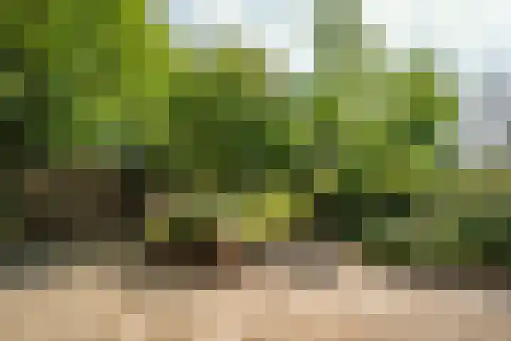 Pontweg 52 Den Hoorn thumbnail 32