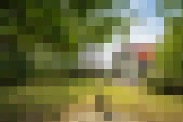 Pontweg 52 Den Hoorn thumbnail 33
