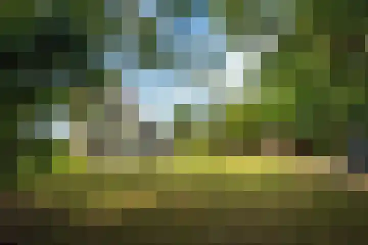 Pontweg 52 Den Hoorn thumbnail 34