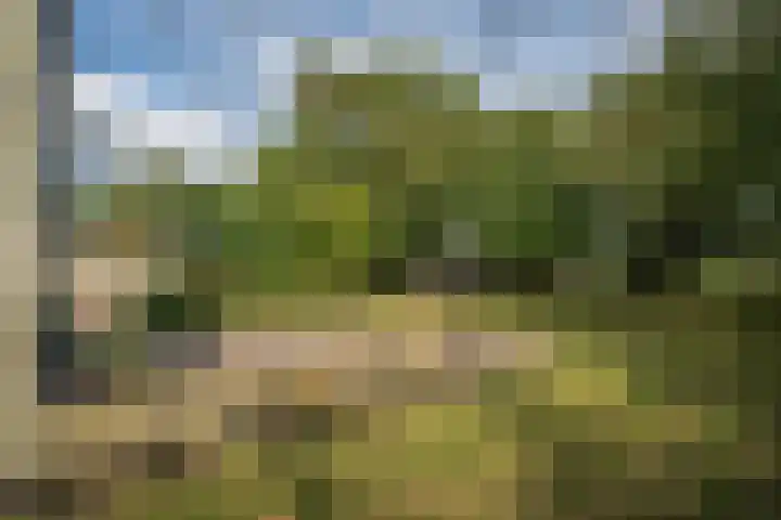 Pontweg 52 Den Hoorn thumbnail 36
