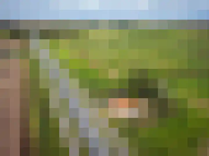 Pontweg 52 Den Hoorn thumbnail 5