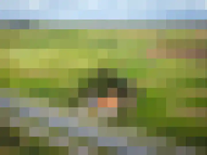 Pontweg 52 Den Hoorn thumbnail 6