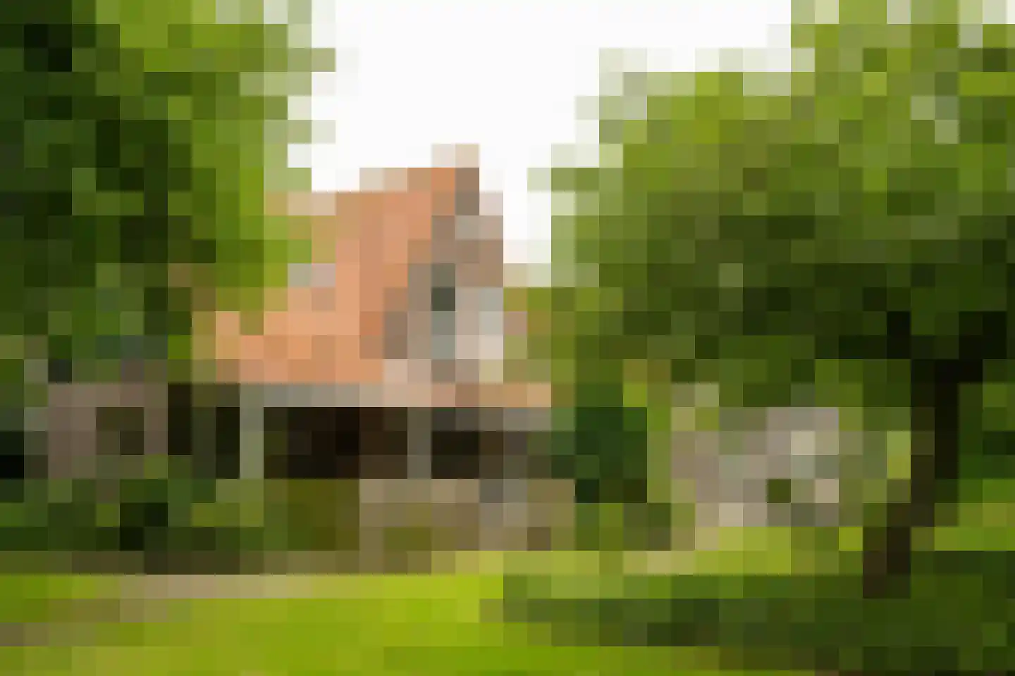 Pontweg 66 in Den Hoorn