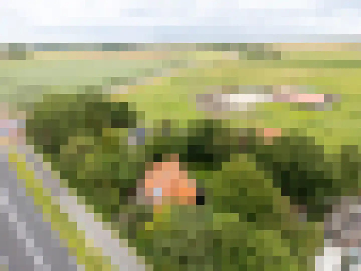 Pontweg 66 Den Hoorn thumbnail 11