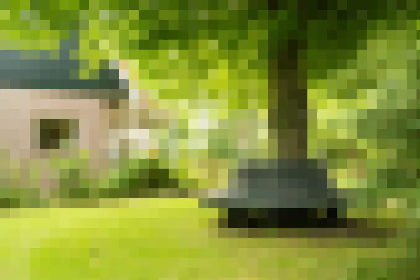 Pontweg 66 Den Hoorn thumbnail 13