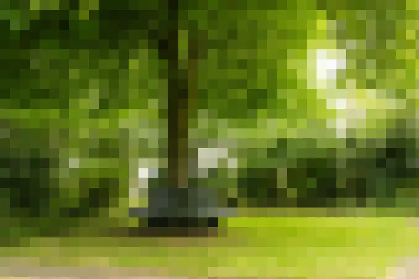 Pontweg 66 Den Hoorn thumbnail 14