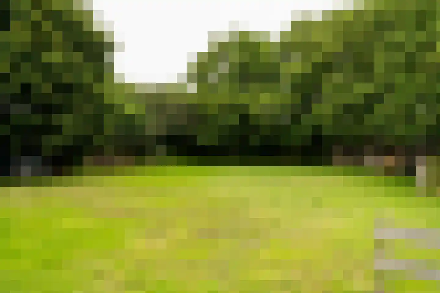 Pontweg 66 Den Hoorn thumbnail 15