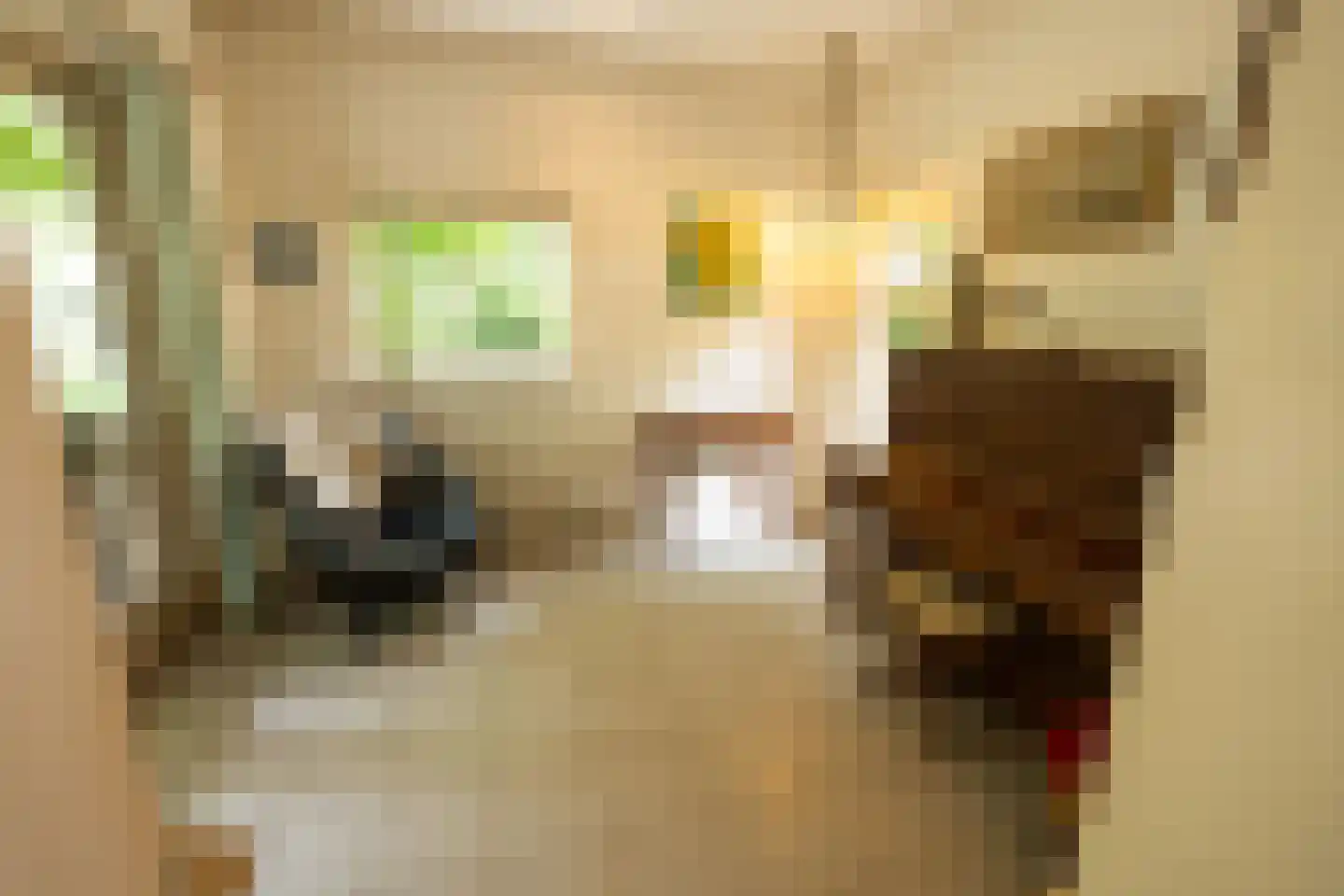 Pontweg 66 Den Hoorn thumbnail 22