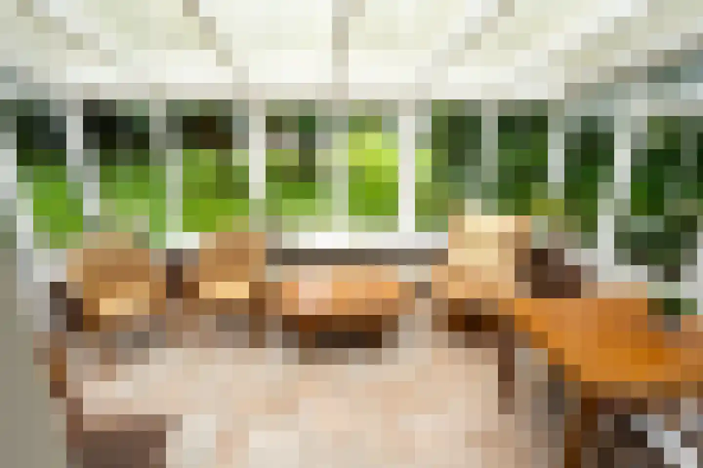 Pontweg 66 Den Hoorn thumbnail 29