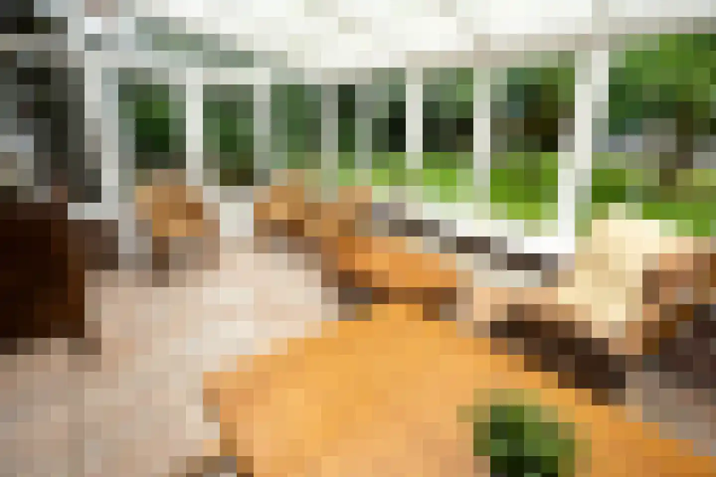 Pontweg 66 Den Hoorn thumbnail 30