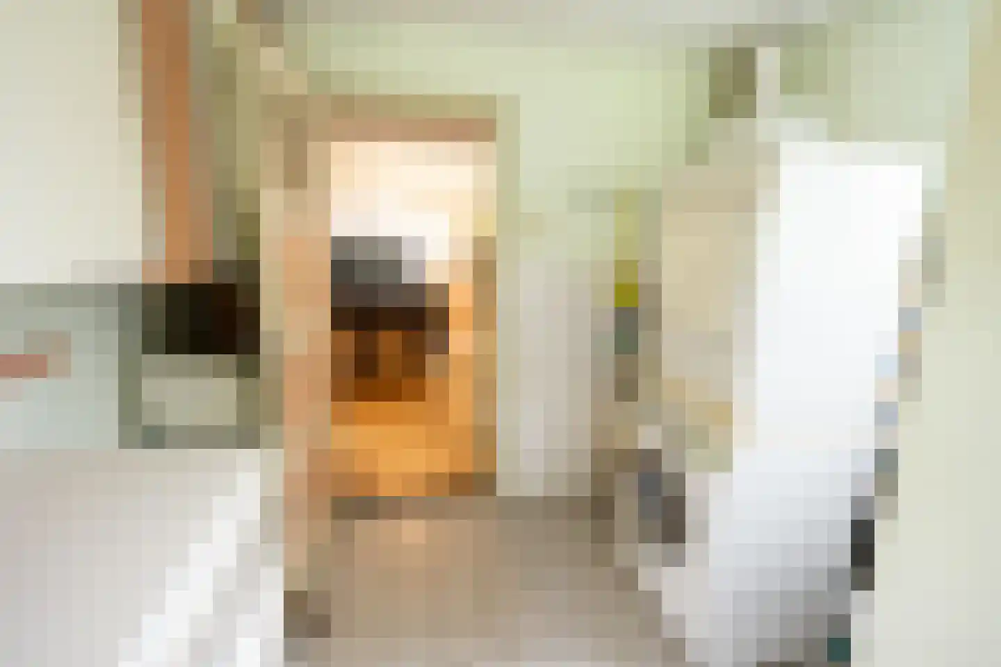 Pontweg 66 Den Hoorn thumbnail 31