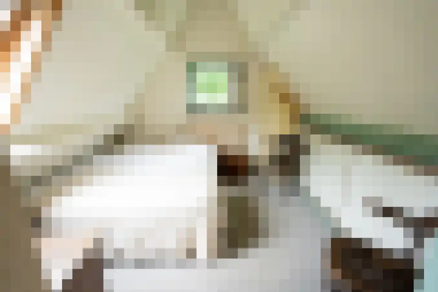 Pontweg 66 Den Hoorn thumbnail 34